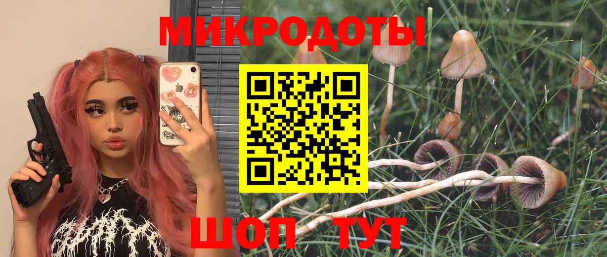Галлюциногенные грибы Cubensis Алушта