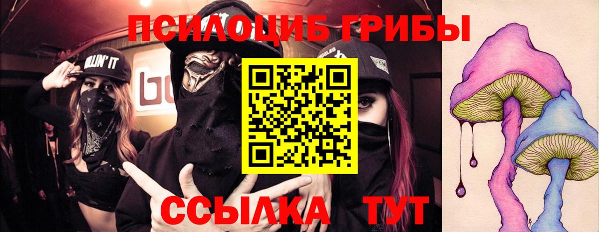 Алушта  Псилоцибиновые грибы Psilocybe  Вход с VPN 