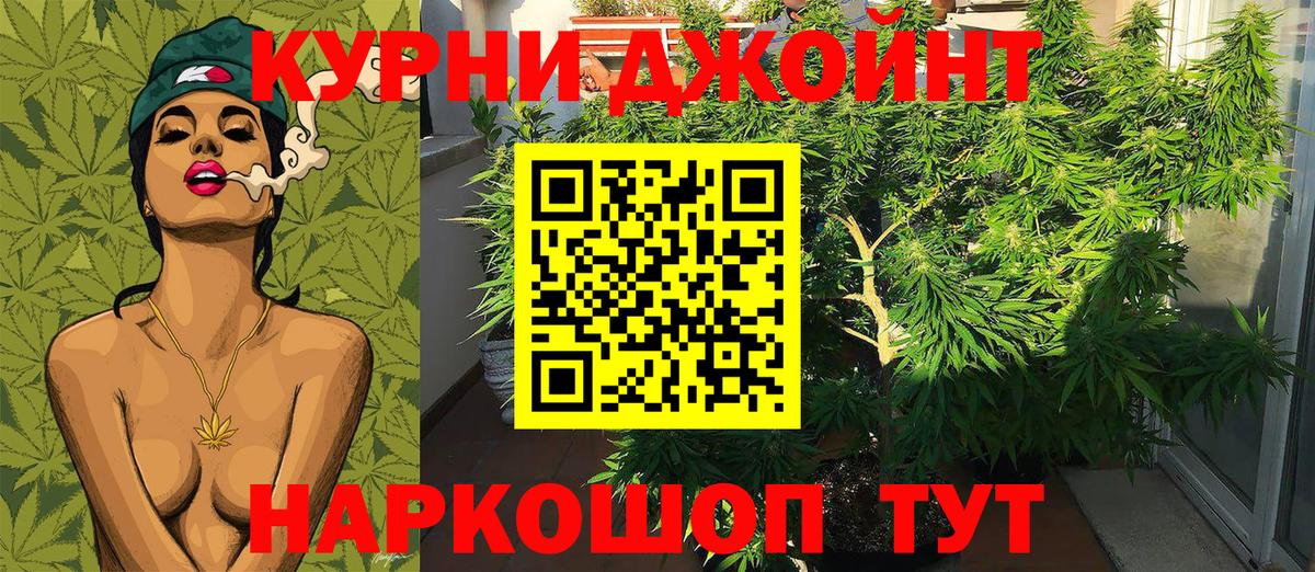 Конопля OG Kush  Канабис LSD WEED  Каннабис семена  Вход с VPN  Алушта 